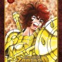 I cavalieri dello zodiaco. Saint Seiya. Final edition (Vol. 12)