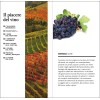 Il piacere del vino Il piacere del vino