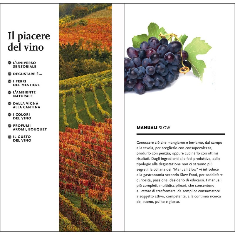 Il piacere del vino Il piacere del vino