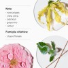 Clinique Aromatics Elixir Eau de Parfum | Il profumo iconico Clinique | Note di rosa bulgara, ylang ylang, patchouli, gelsomino e vetiver - 25 ml (Confezione da 1)