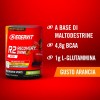 Enervit, R2 Recovery Drink, Integratore Gusto Arancia, Ideale per il Recupero Post Allenamenti Intensi, con Tiamina e Vitamina B6, Barattolo da 400 Grammi