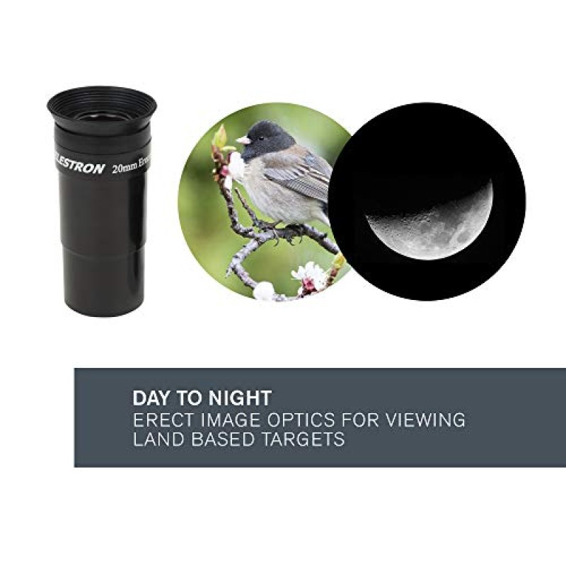 Celestron 31051 AstroMaster 130EQ Telescopio riflettore newtoniano a motore, blu scuro Celestron 31051 AstroMaster 130EQ Telescopio riflettore newtoniano a motore, blu scuro