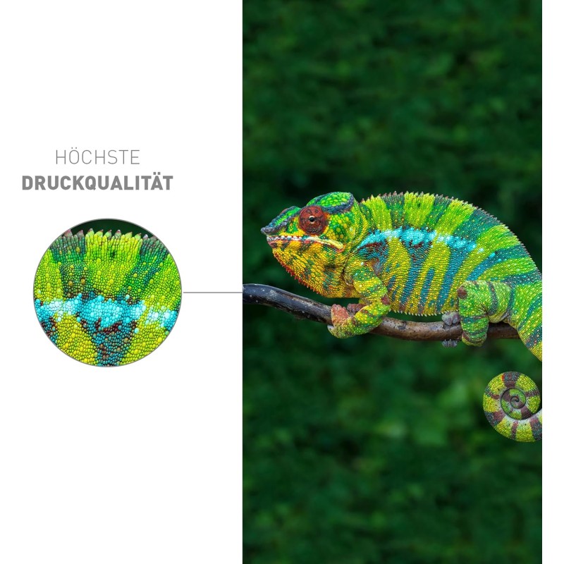 CARTUCHO KMP HP CH564EE NR.301XL COLOR 350 S. H76 RECARGADO CARTUCHO KMP HP CH564EE NR.301XL COLOR 350 S. H76 RECARGADO