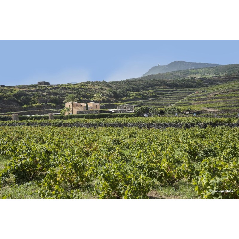 Donnafugata Ben Ryé 2022, Passito di Pantelleria - 375 ml