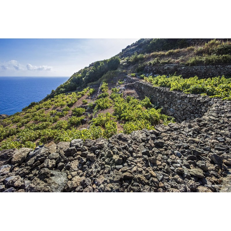 Donnafugata Ben Ryé 2022, Passito di Pantelleria - 375 ml