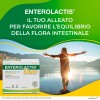 Enterolactis Duo, Integratore Alimentare di Fermenti Lattici Vivi L,Casei DG, 8 Miliardi di Cellule Vive, Con Fruttosio, Senza Glutine e Lattosio, 20 Bustine - 20 unità (Confezione da 1)
