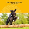 Scalibor Collare, 48 cm - MSD Animal Health