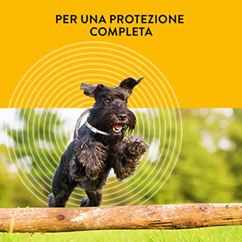 Scalibor Collare, 48 cm - MSD Animal Health