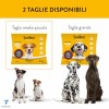 Scalibor Collare, 48 cm - MSD Animal Health