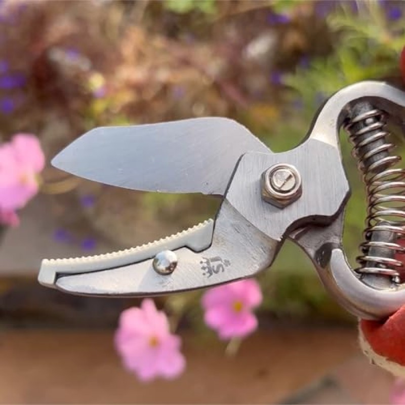 Spear & Jackson CUTTINGSET8 Kit di Forbici da Potatura Tradizionali a Incudine e con Azione di Taglio By-Pass, Multicolore, 21x11.5x2 cm