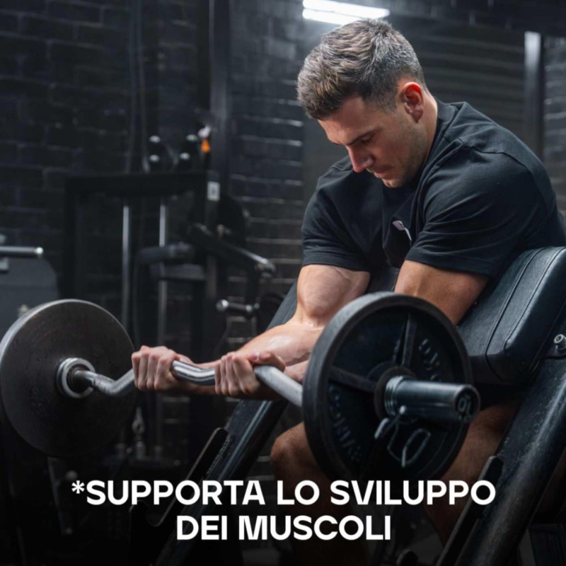 Bulk Pure Whey Proteine in Polvere | Non aromatizzato | 26g Proteine e 5g BCAA per dose | Basso contenuto di zuccheri | Supporta la crescita e il recupero muscolare | Facile da miscelare | 500g - 16 Porzioni (Confezione da 1) Bulk Pure Whey Proteine in Polvere | Non aromatizzato | 26g Proteine e 5g BCAA per dose | Basso contenuto di zuccheri | Supporta la crescita e il recupero muscolare | Facile da miscelare | 500g - 16 Porzioni (Confezione da 1)