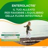 Enterolactis Bevibile, Integratore Alimentare di Fermenti Lattici Vivi L,Casei DG, 8 Miliardi di Cellule Vive, Senza Glutine e Lattosio, 12 Flanconcini da 10ml, Gusto Fragola - 12 flaconcini