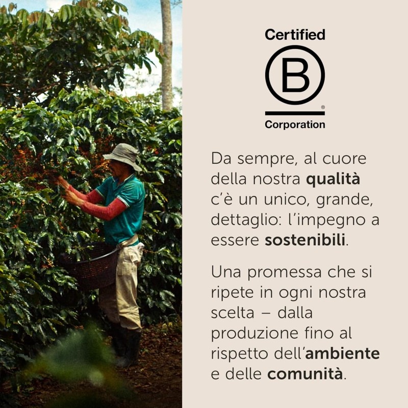 illy, Caffè Macinato per Espresso Tostato INTENSO, 100% Arabica con Note di Cacao e Frutta Secca, Retrogusto Pieno e Corposo, Confezione da 250g