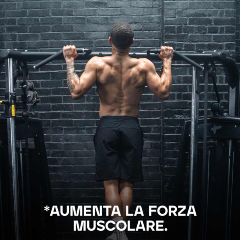 Bulk Creatina Monoidrato Polvere 500 g | 147 porzioni | Creatina micronizzata pura | Mela e Lime | Vegano e Halal | Ideale per fitness, allenamento e palestra | Si scioglie facilmente - 147 Porzioni (Confezione da 1)