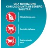 Purina ONE Bifensis Crocchette Gatto Sterilizzato Salmone, Sacco da 2,8kg - 2,8kg Purina ONE Bifensis Crocchette Gatto Sterilizzato Salmone, Sacco da 2,8kg - 2,8kg