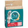 Purina ONE Bifensis Crocchette Gatto Sterilizzato Salmone, Sacco da 2,8kg - 2,8kg Purina ONE Bifensis Crocchette Gatto Sterilizzato Salmone, Sacco da 2,8kg - 2,8kg