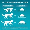 Purina ONE Bifensis Crocchette Gatto Sterilizzato Manzo, Sacco da 2,8kg - 2,8kg Purina ONE Bifensis Crocchette Gatto Sterilizzato Manzo, Sacco da 2,8kg - 2,8kg