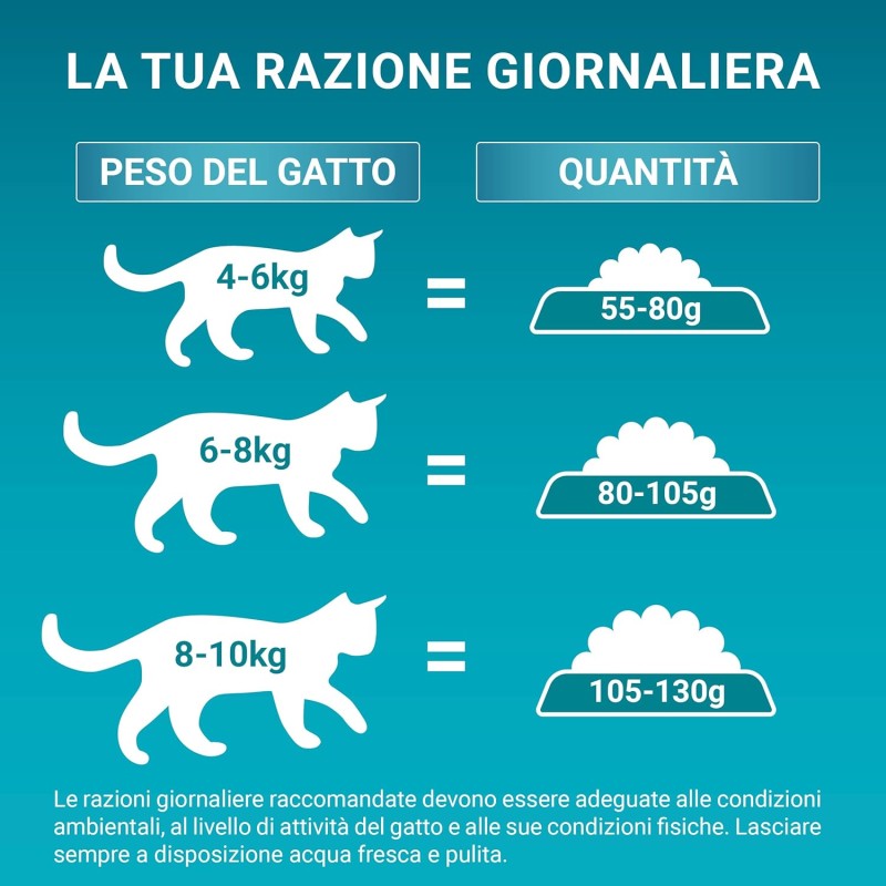 Purina ONE Bifensis Crocchette Gatto Sterilizzato Manzo, Sacco da 2,8kg - 2,8kg Purina ONE Bifensis Crocchette Gatto Sterilizzato Manzo, Sacco da 2,8kg - 2,8kg