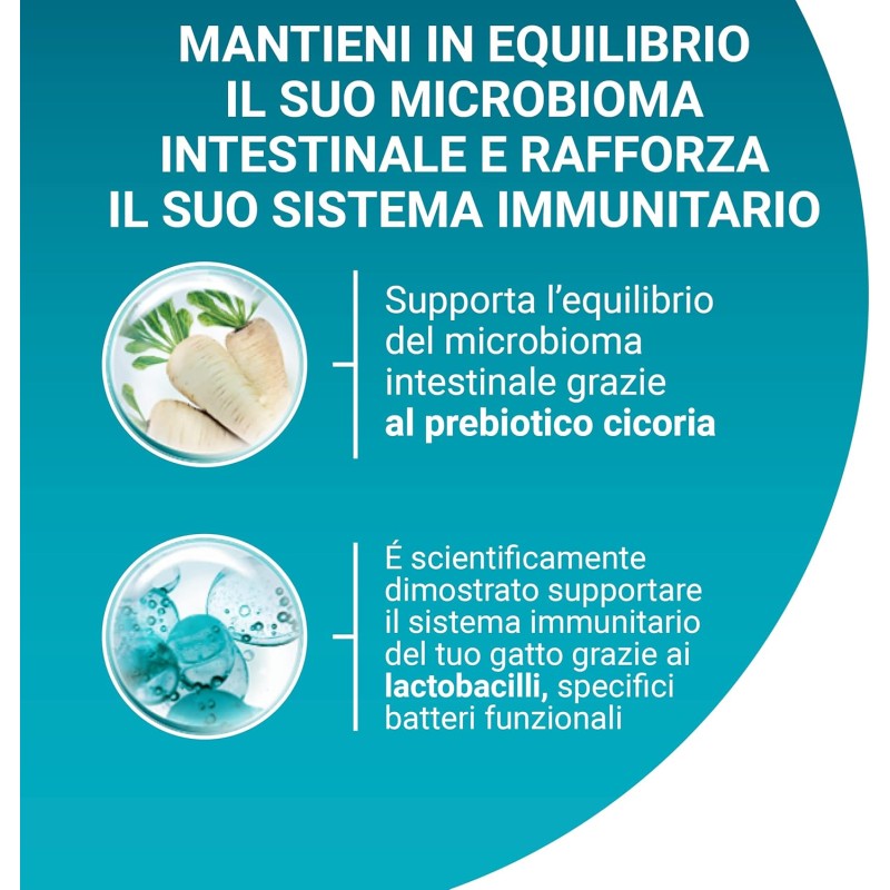 Purina ONE Bifensis Crocchette Gatto Sterilizzato Pollo, Sacco da 2,8kg - 2,8kg Purina ONE Bifensis Crocchette Gatto Sterilizzato Pollo, Sacco da 2,8kg - 2,8kg