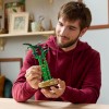 LEGO Botanicals Bambù del Buon Auspicio, Pianta Artificiale da Arredamento Interno con Vaso Finto, Decorazione di Casa o Ufficio, Idea Regalo per Donna, Uomo e Adulti dalla Botanical Collection 10344