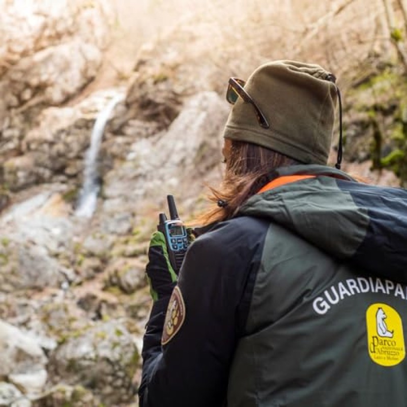 Midland - Walkie Talkie XT60, Ricetrasmittenti Professionali Dual Band, 93 Canali - 69 Canali LPD/24 PMR446 Senza Licenza, 38 CTCSS/83 DCS, Copertura 10Km, Ricarica Rapida, Autonomia 12H e Accessori