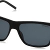 Polaroid PLD 2050/S Sunglasses, Black, 55 Men, Black, 55