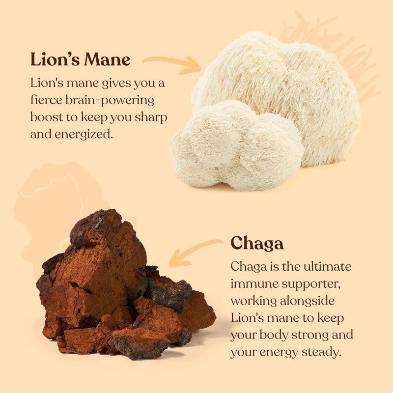 Four Sigmatic mushroom ground coffee, biologica e fair trade coffee con i lions mane, chaga, e funghi in polvere, messa a fuoco e immunitario, paleo, 12 oz