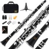 Clarinetto Eastar B Flat per Principianti, Clarinetto in Ebanite Nichelato con 2 Canne, 3 Ance, Guanti Bianchi, Custodia Rigida, Cleaning Kt, ECL-300 - nero