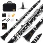 Clarinetto Eastar B Flat per Principianti, Clarinetto in Ebanite Nichelato con 2 Canne, 3 Ance, Guanti Bianchi, Custodia Rigida, Cleaning Kt, ECL-300 - nero