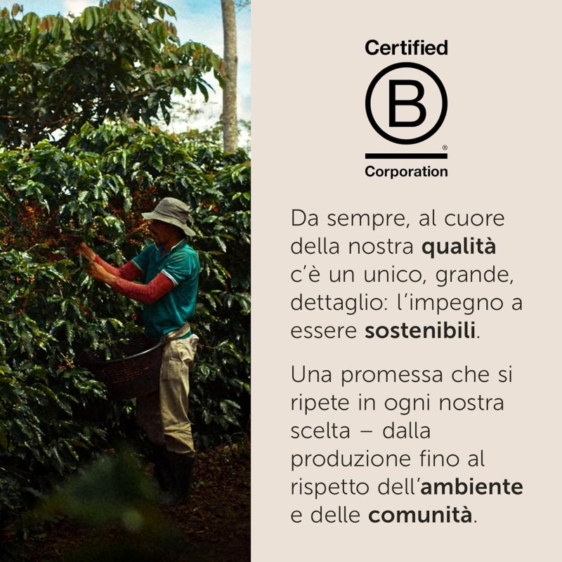 illy, Caffè in Capsule Iperespresso Arabica Selection Guatemala, 100% Arabica con Note di Cioccolato, Gusto Amaro e Intenso, 6 Confezioni da 18 (108 Capsule Totali)