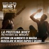 Healthy FUSION Whey protein 100% pura | Proteine whey + collagene + magnesio | Proteine del siero di latte isolate per lo sviluppo muscolare | Massa muscolare pulita | 1000 g (Cioccolato) Healthy FUSION Whey protein 100% pura | Proteine whey + collagene + magnesio | Proteine del siero di latte isolate per lo sviluppo muscolare | Massa muscolare pulita | 1000 g (Cioccolato)
