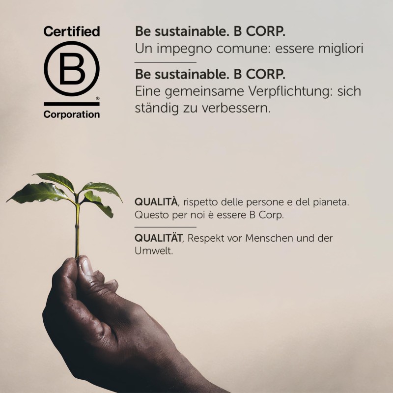 illy Capsule Caffè Iperespresso Tostato Intenso, Confezione da 100 capsule illy Capsule Caffè Iperespresso Tostato Intenso, Confezione da 100 capsule