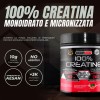 Healthy Fusion Creatina Monoidrata | Creatina Pura microfiltrata | Favorisce la crescita muscolare e migliora la resistenza fisica | Elevata solubilità | Formato in polvere, gusto di Anguria 300gr Healthy Fusion Creatina Monoidrata | Creatina Pura microfiltrata | Favorisce la crescita muscolare e migliora la resistenza fisica | Elevata solubilità | Formato in polvere, gusto di Anguria 300gr