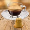 Note D'Espresso Caffè Qualità Oro, Capsule Compatibili Soltanto con Sistema NESPRESSO, 100 Caps - 100 unità (Confezione da 1)