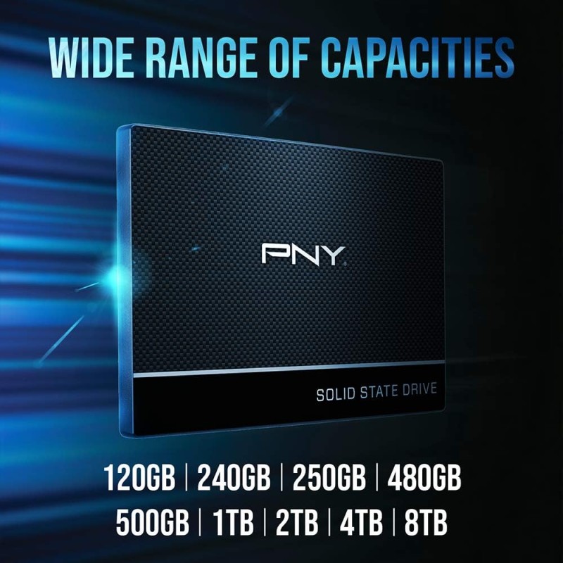 PNY CS900 SSD Interno Unità a stato solido (SSD) 250GB Serie 2.5 SATA III - 250GB