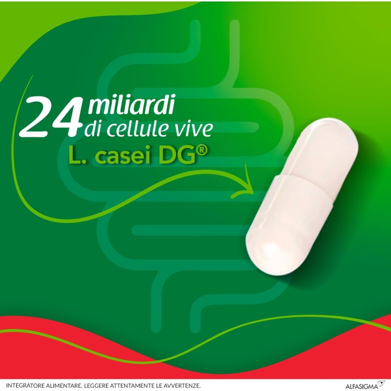 Enterolactis Plus Capsule, Integratore Alimentare di Fermenti Lattici Vivi L,Casei DG, 24 Miliardi di Cellule Vive, Senza Glutine e Lattosio, 30 Capsule - 30 capsule Enterolactis Plus Capsule, Integratore Alimentare di Fermenti Lattici Vivi L,Casei DG, 24 Miliardi di Cellule Vive, Senza Glutine e Lattosio, 30 Capsule - 30 capsule