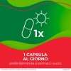 Enterolactis Plus Capsule, Integratore Alimentare di Fermenti Lattici Vivi L,Casei DG, 24 Miliardi di Cellule Vive, Senza Glutine e Lattosio, 30 Capsule - 30 capsule Enterolactis Plus Capsule, Integratore Alimentare di Fermenti Lattici Vivi L,Casei DG, 24 Miliardi di Cellule Vive, Senza Glutine e Lattosio, 30 Capsule - 30 capsule