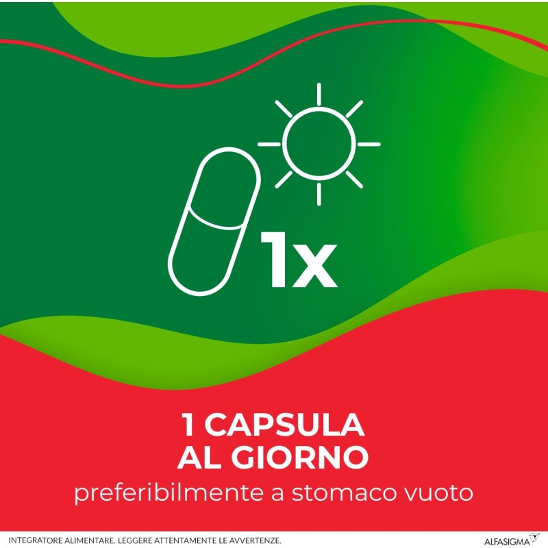 Enterolactis Plus Capsule, Integratore Alimentare di Fermenti Lattici Vivi L,Casei DG, 24 Miliardi di Cellule Vive, Senza Glutine e Lattosio, 30 Capsule - 30 capsule Enterolactis Plus Capsule, Integratore Alimentare di Fermenti Lattici Vivi L,Casei DG, 24 Miliardi di Cellule Vive, Senza Glutine e Lattosio, 30 Capsule - 30 capsule