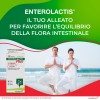 Enterolactis Plus Capsule, Integratore Alimentare di Fermenti Lattici Vivi L,Casei DG, 24 Miliardi di Cellule Vive, Senza Glutine e Lattosio, 30 Capsule - 30 capsule Enterolactis Plus Capsule, Integratore Alimentare di Fermenti Lattici Vivi L,Casei DG, 24 Miliardi di Cellule Vive, Senza Glutine e Lattosio, 30 Capsule - 30 capsule