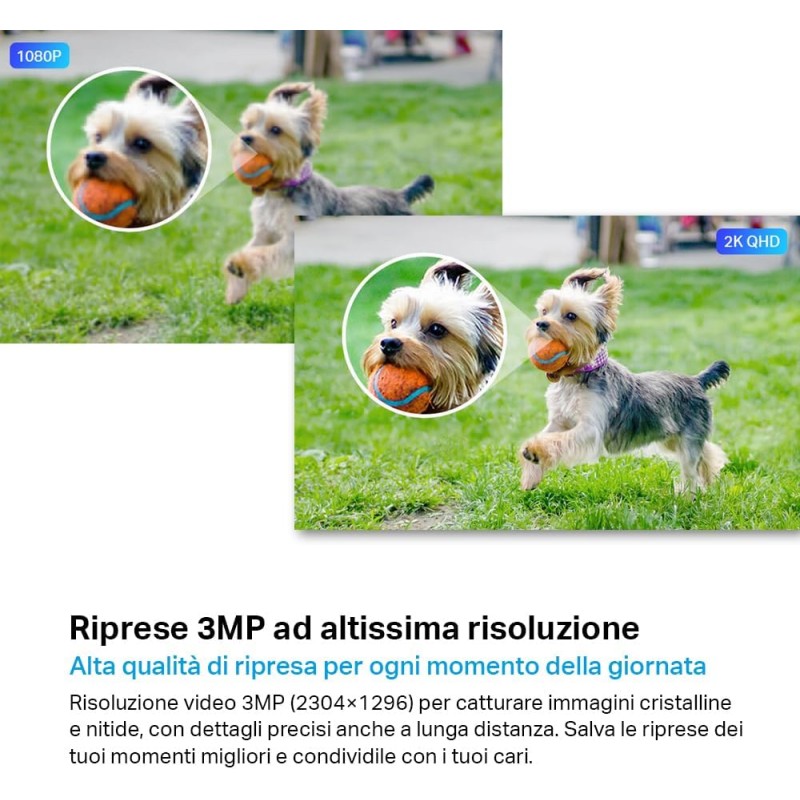 TP-Link Tapo C310 Telecamera Wi-Fi Esterno FHD 1296P, Telecamera IP di Sorveglianza, Notifiche in Tempo Reale, Visione Notturna fino 30m, Impermeabile IP66, 2 Vie Audio, Compatibile con Alexa