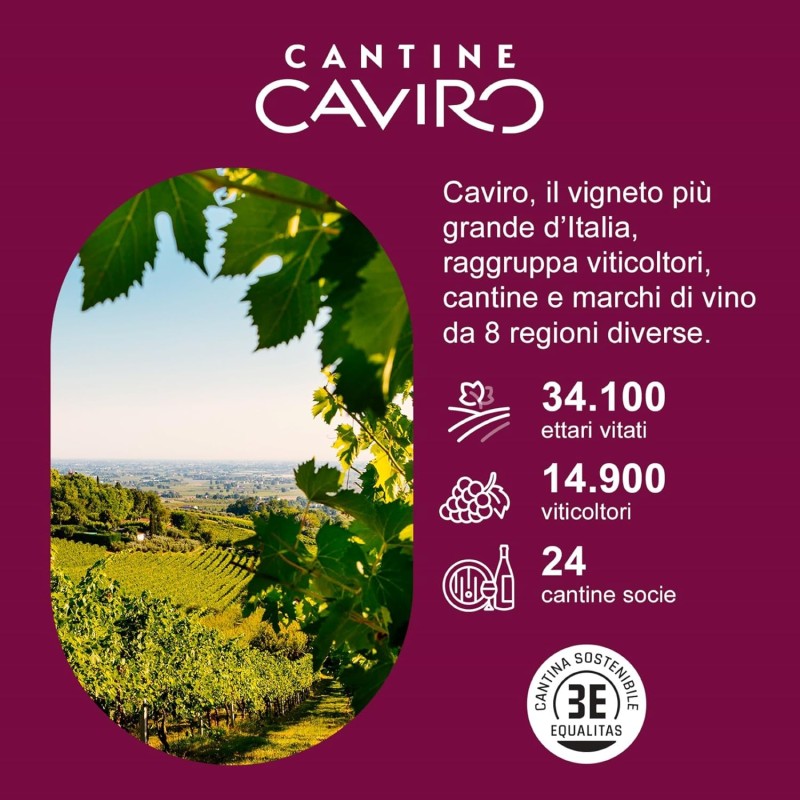 Tavernello White Gold Pinot Bianco Famoso Rubicone IGT, Vino Bianco Delicatamente Aromatico, 12% Vol, Confezione con 15 Brik da 500 ml - Bianco