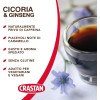 Crastan Cicoria & Ginseng Solubile - 6 vasetti da 100 gr - 100 g (Confezione da 6)