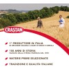 Crastan Cicoria & Ginseng Solubile - 6 vasetti da 100 gr - 100 g (Confezione da 6)