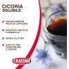 Crastan Cicoria Solubile - 6 vasetti da 100 gr - 100 g (Confezione da 6)
