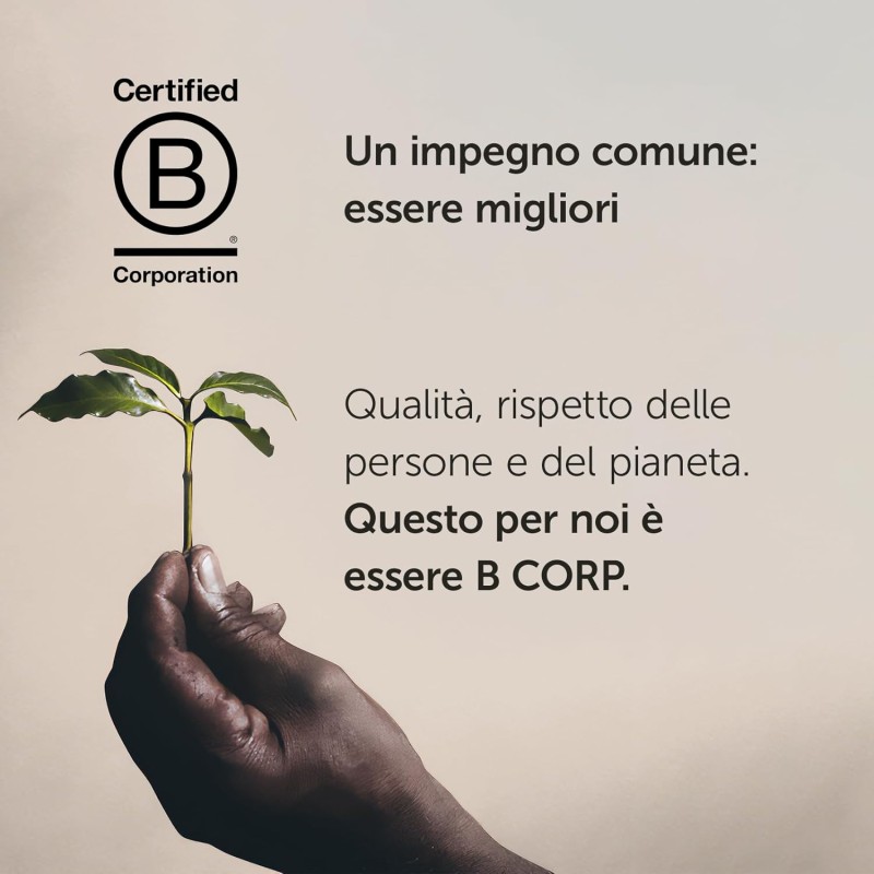 illy Capsule Caffè Iperespresso Arabica Selection Etiopia, Confezione da 100 Capsule - 100 unità (Confezione da 1)