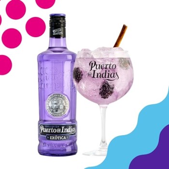 Puerto de Indias Gin Blackberry CL.70