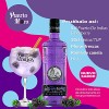 Puerto de Indias Gin Blackberry CL.70