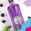 Puerto de Indias Gin Blackberry CL.70