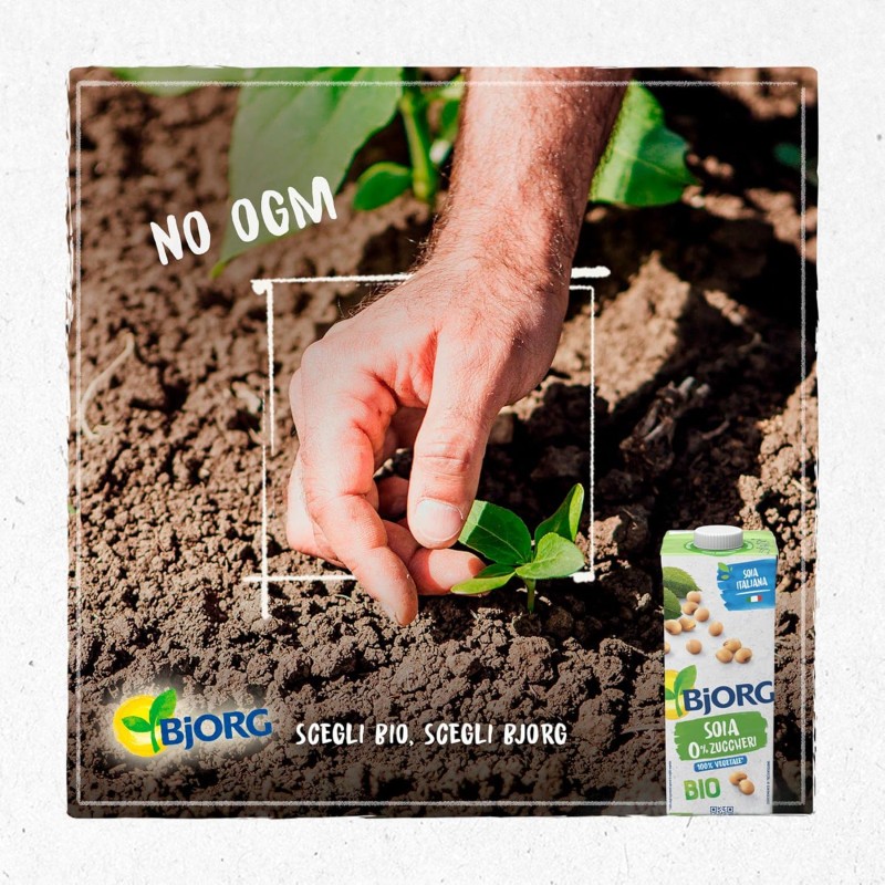 BJORG Bevanda di Soia Naturale 0% Zuccheri, Vegetale Biologica, Senza Glutine, Gusto Delicato, 6x1L - 6 l (Confezione da 1) BJORG Bevanda di Soia Naturale 0% Zuccheri, Vegetale Biologica, Senza Glutine, Gusto Delicato, 6x1L - 6 l (Confezione da 1)