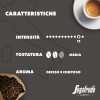 Segafredo Zanetti 100 Capsule in Alluminio compatibili con Nespresso di Caffè Ristretto Gusto deciso e corposo (10 Astucci da 10 Capsule) - Adatte per Macchine Nespresso Original Segafredo Zanetti 100 Capsule in Alluminio compatibili con Nespresso di Caffè Ristretto Gusto deciso e corposo (10 Astucci da 10 Capsule) - Adatte per Macchine Nespresso Original